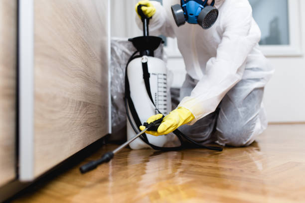 Best Best Pest Control Companies  in Olive Branch, MS
