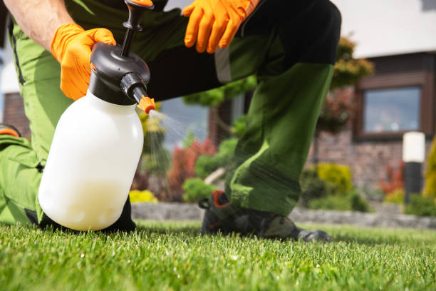 Best Wildlife Control Services  in Olive Branch, MS