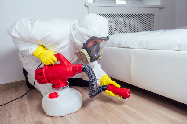 Best Emergency Pest Control  in Olive Branch, MS