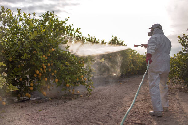 Olive Branch, MS Pest Control Company