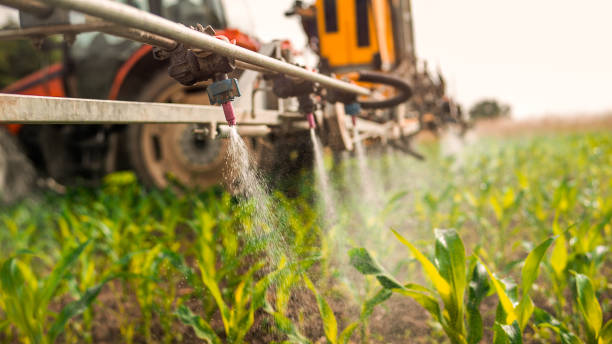 Pest Control Cost in Olive Branch, MS